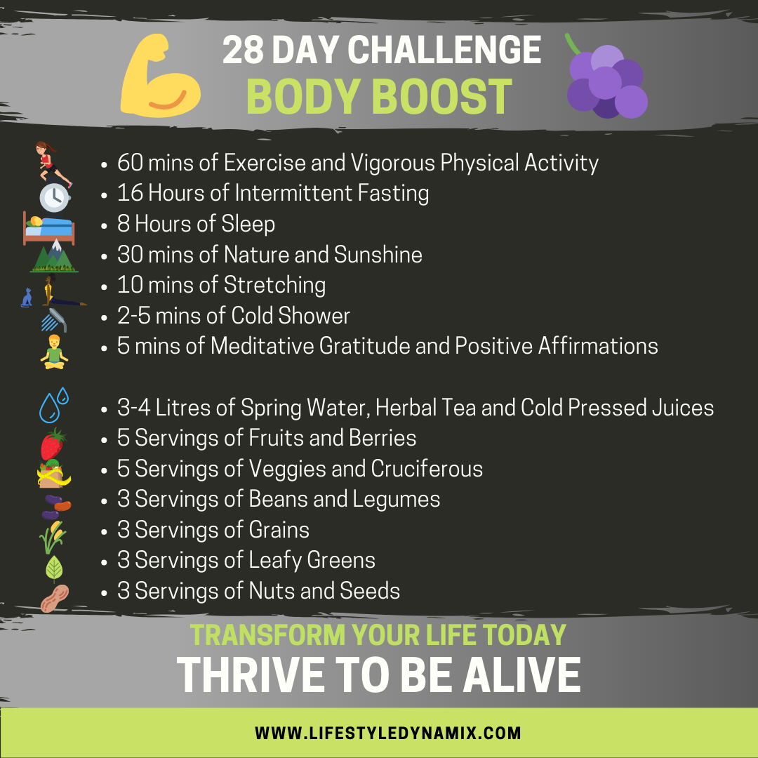 28 day brous challenge